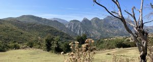 IMG_4404