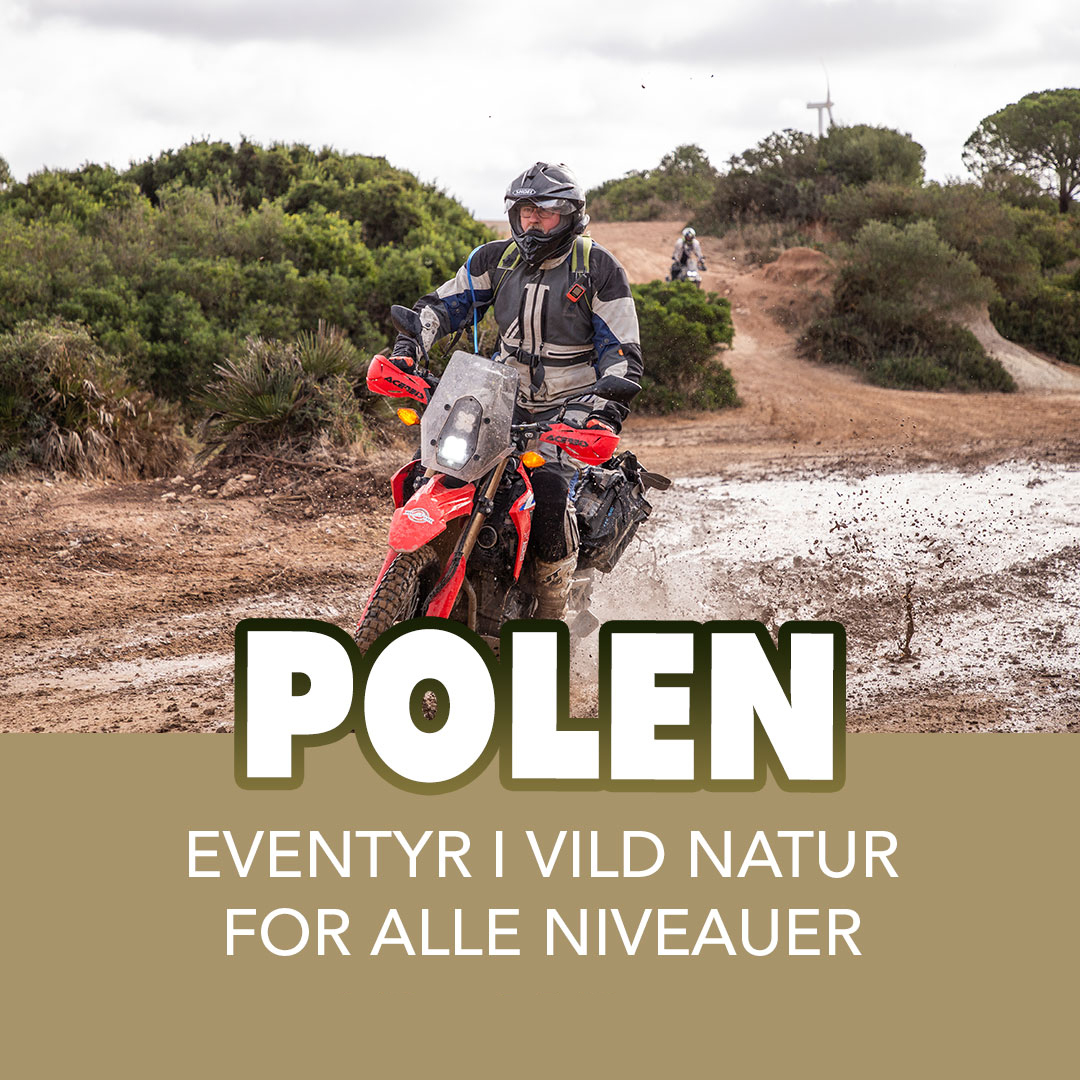 503065991_1295502991937284_5764630742740304451_n