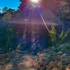 Oplus_16777216