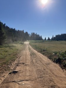 IMG_7819